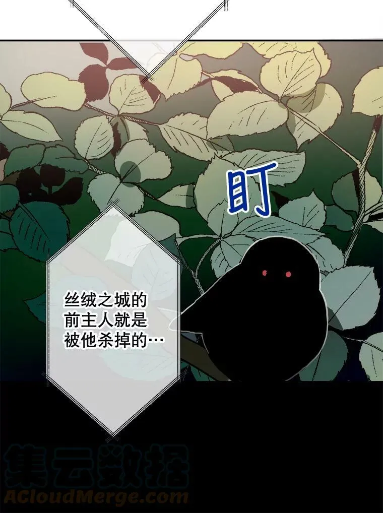 23.会说话的小鸟 第46页
