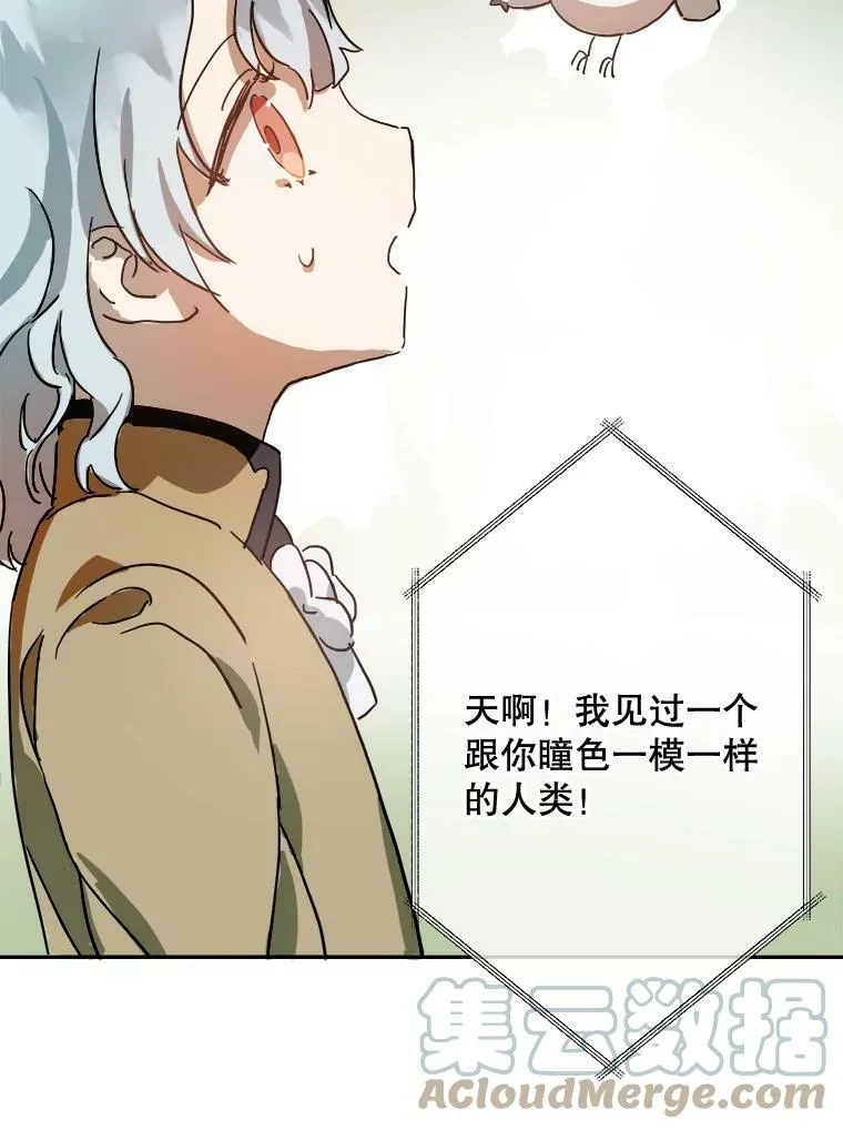 23.会说话的小鸟 第61页