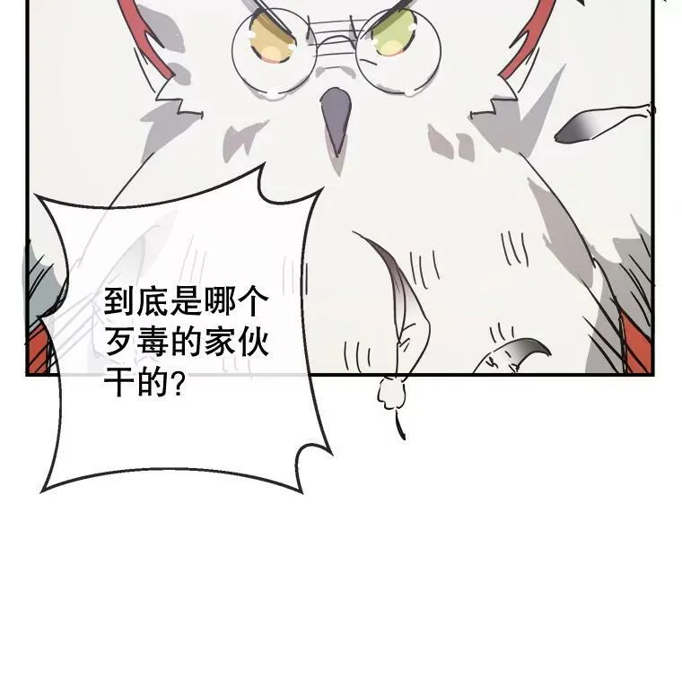 29.伤疤 第3页