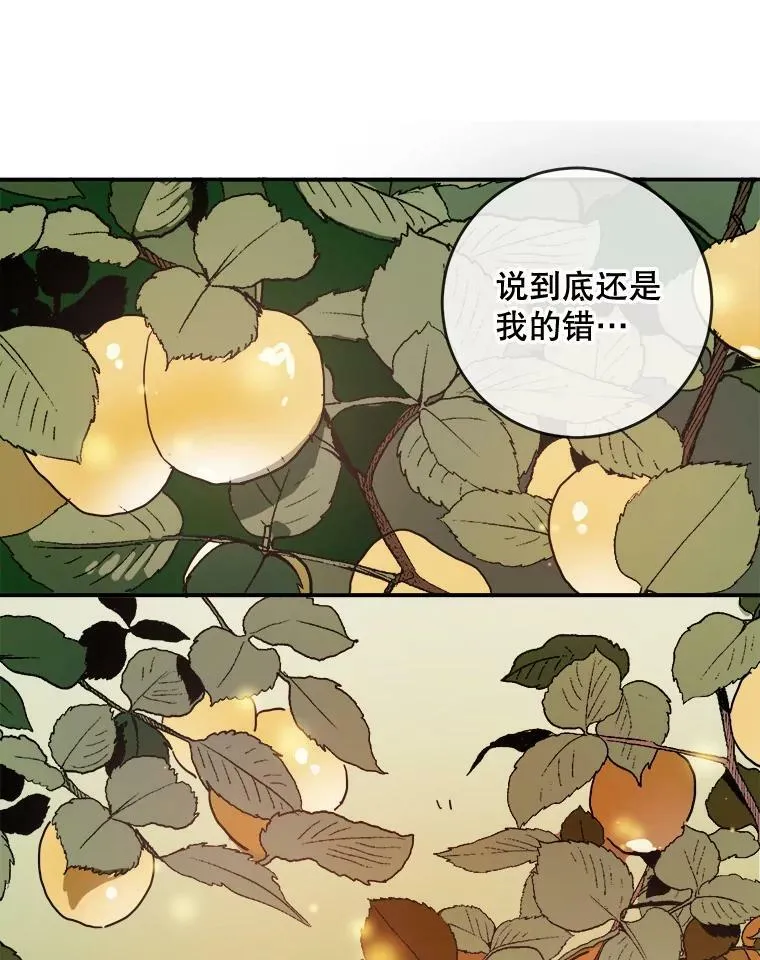 29.伤疤 第6页