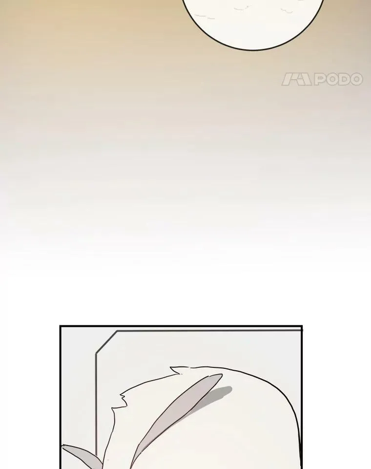 29.伤疤 第9页