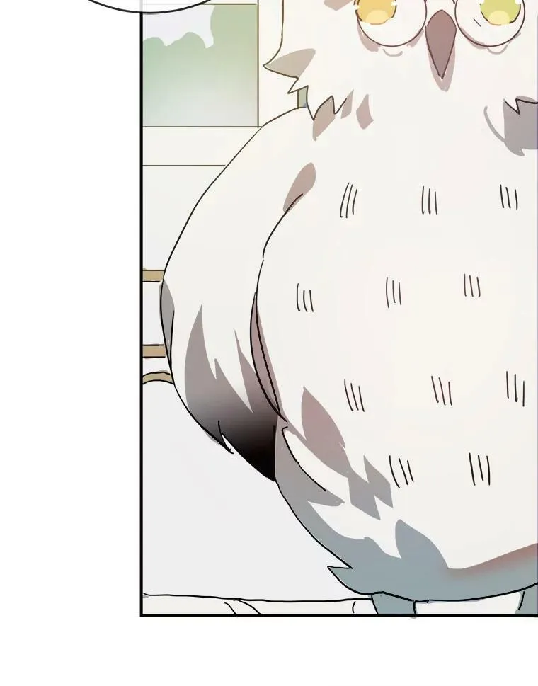 29.伤疤 第17页