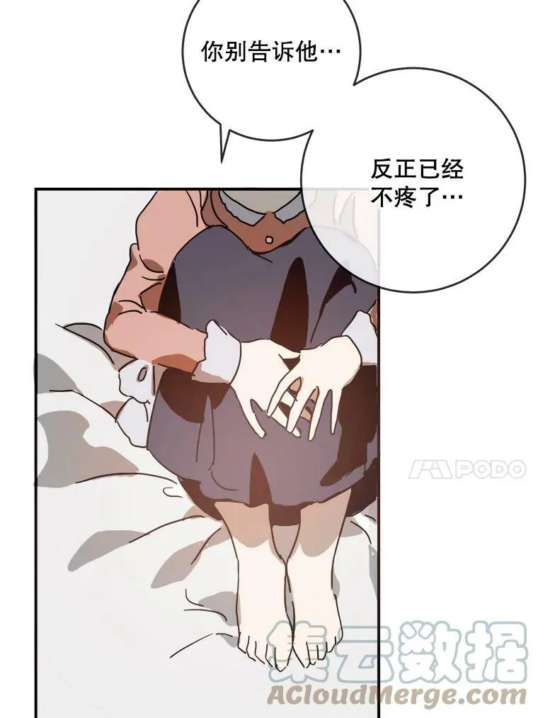 29.伤疤 第25页