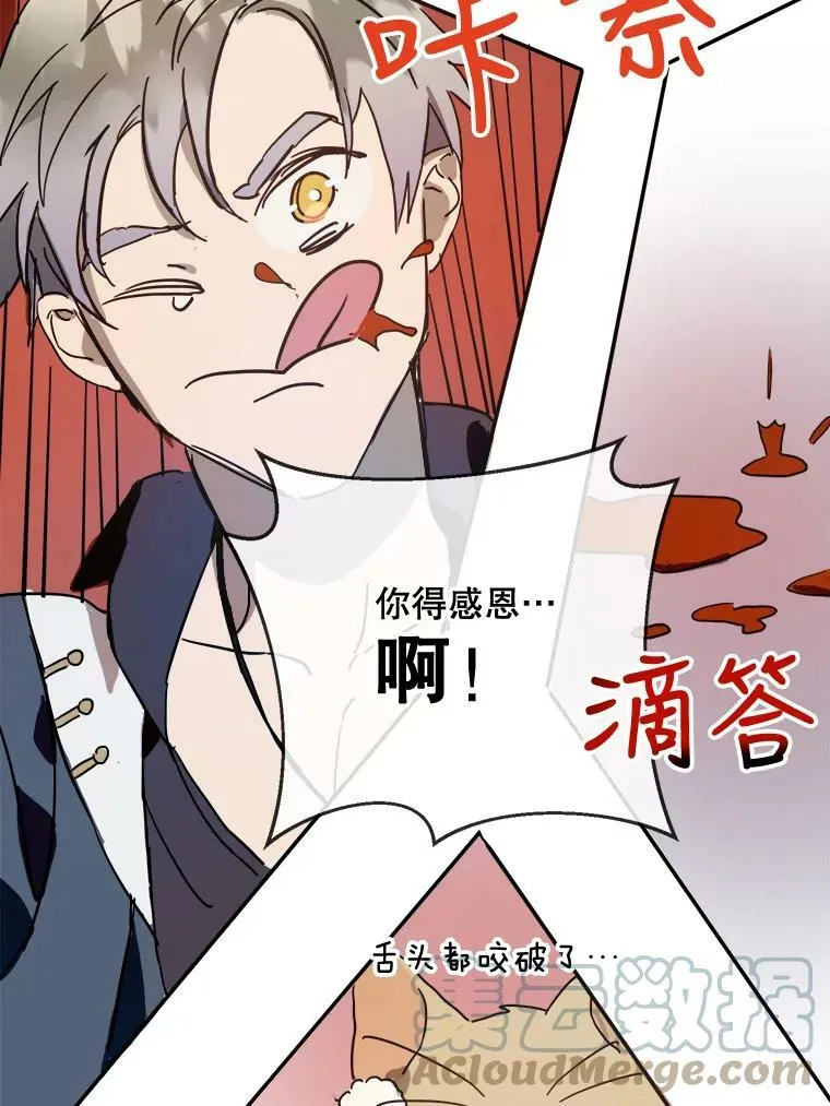 29.伤疤 第46页