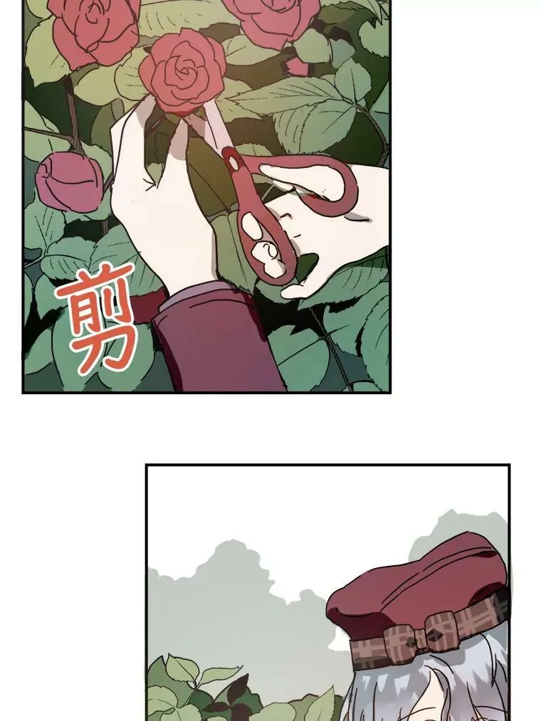 29.伤疤 第71页