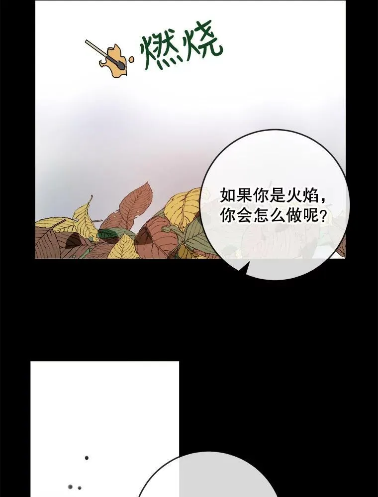 30.火焰和落叶 第9页