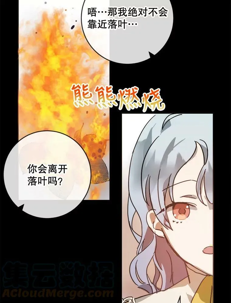 30.火焰和落叶 第10页