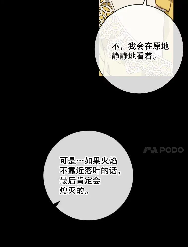 30.火焰和落叶 第11页