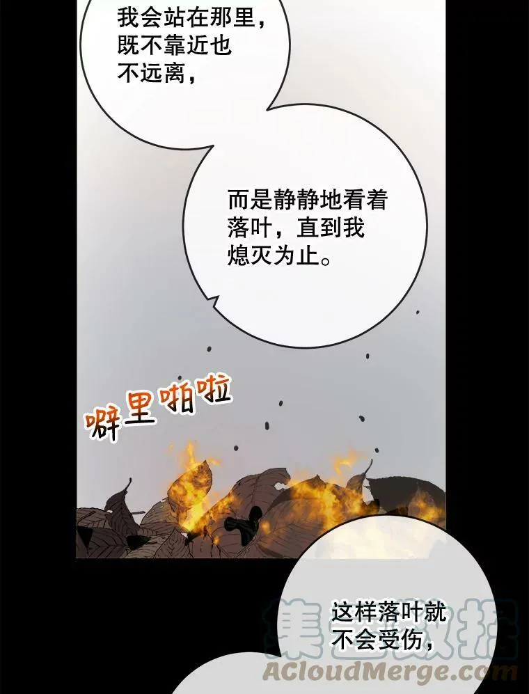 30.火焰和落叶 第13页