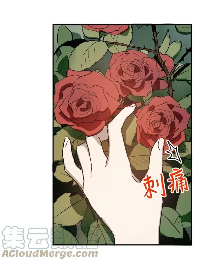30.火焰和落叶 第16页