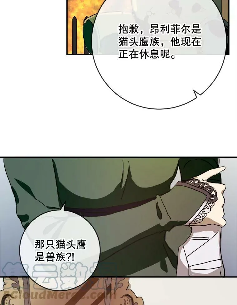 31.书里的秘密（1） 第13页