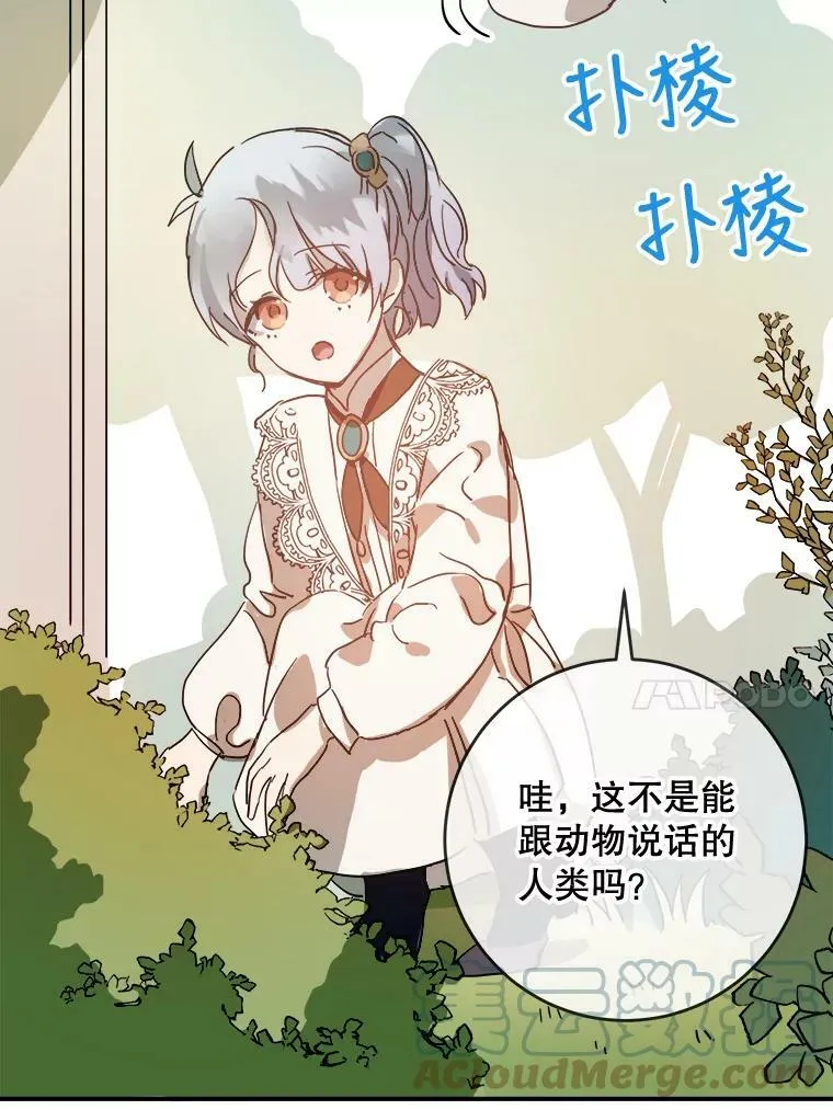 31.书里的秘密（1） 第37页