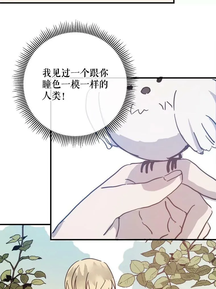 34.真实目的 第75页