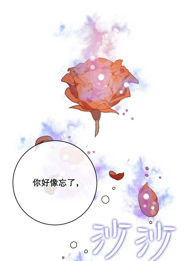 44.偶遇阿尔贝拉（2） 第20页