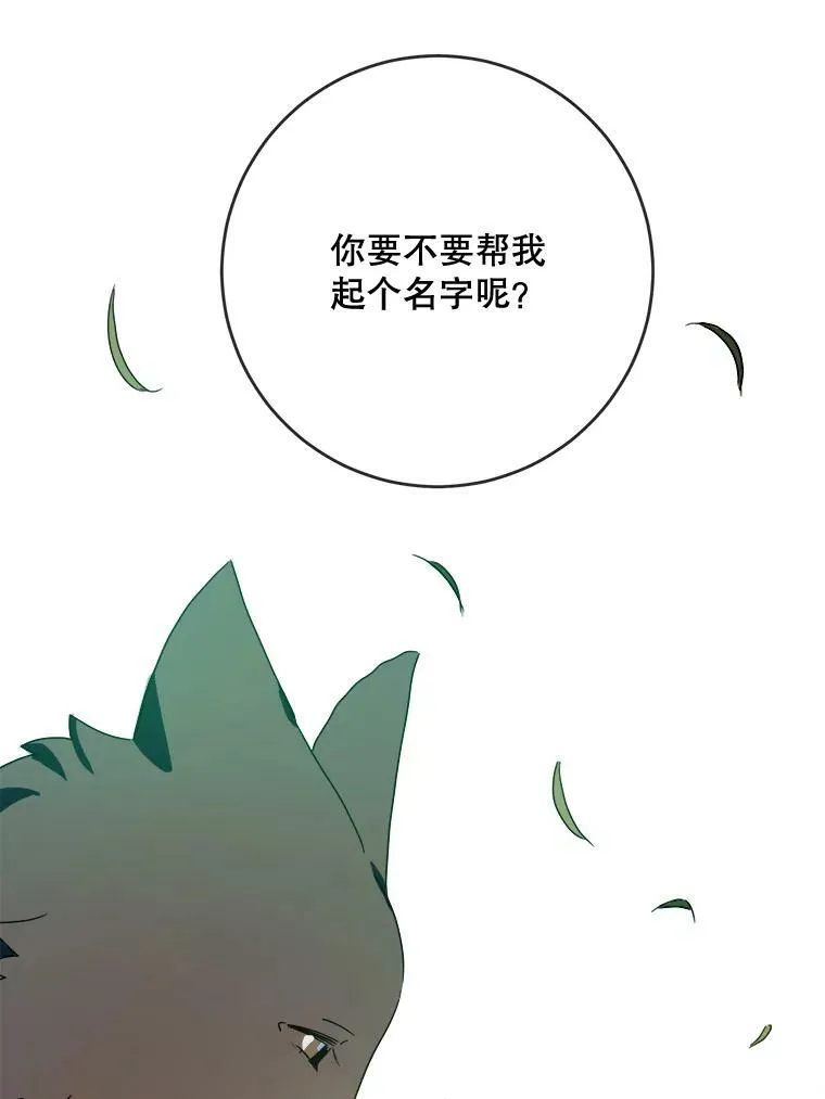51.塔拉的魔力 第98页