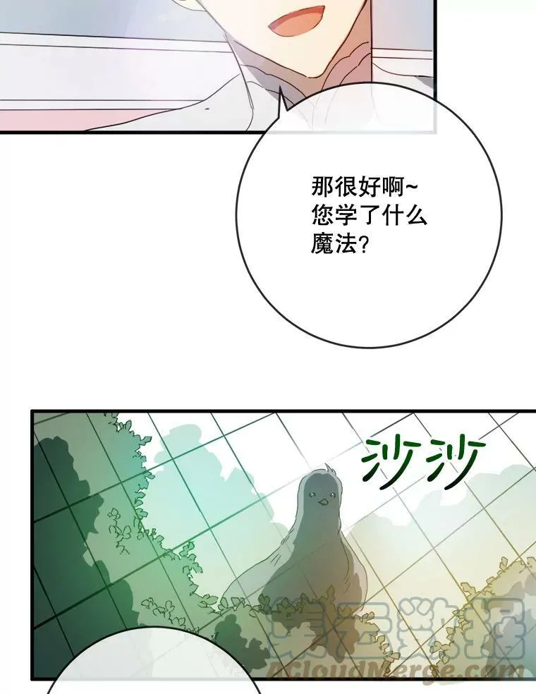 53.郊游准备 第52页