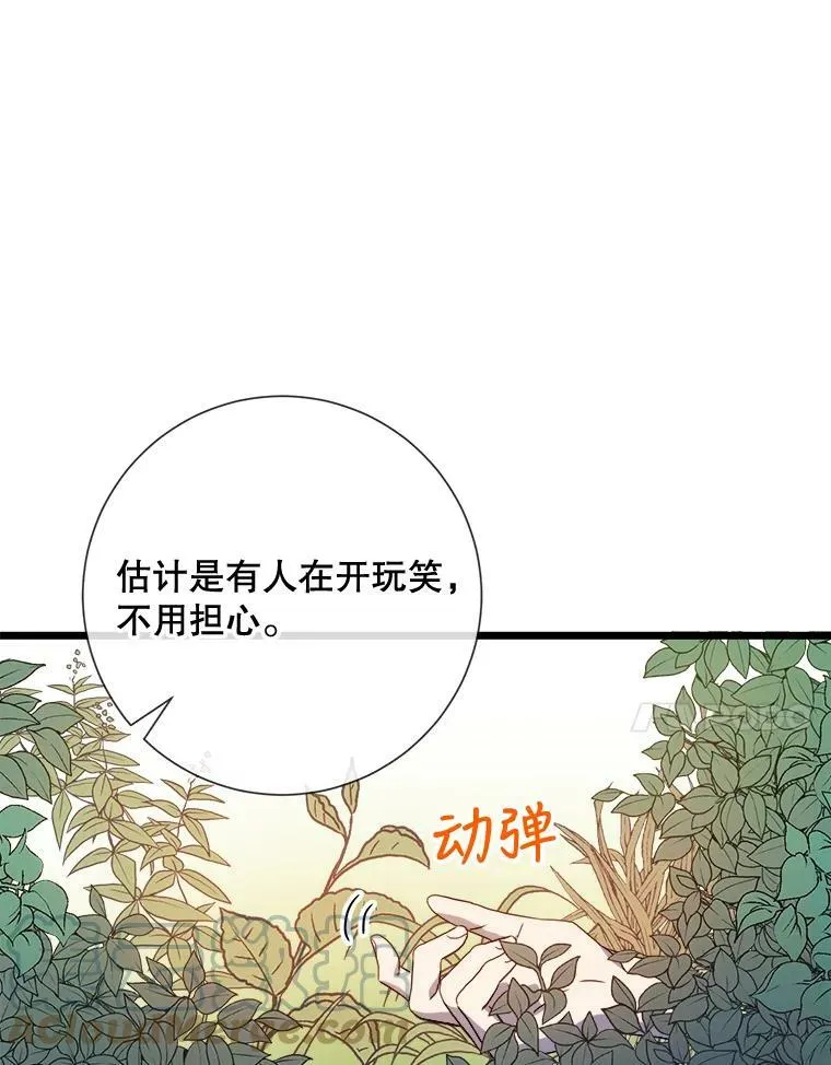 59.精灵族的客人 第85页