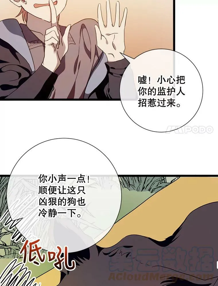 59.精灵族的客人 第105页