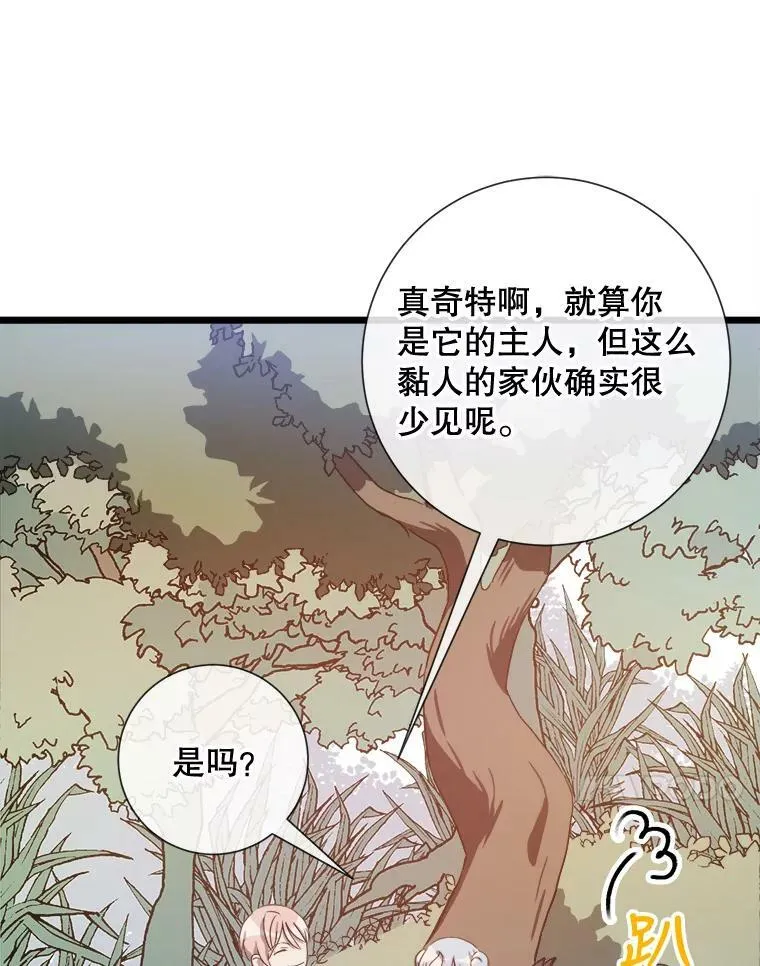 60.惹哭塔拉 第15页