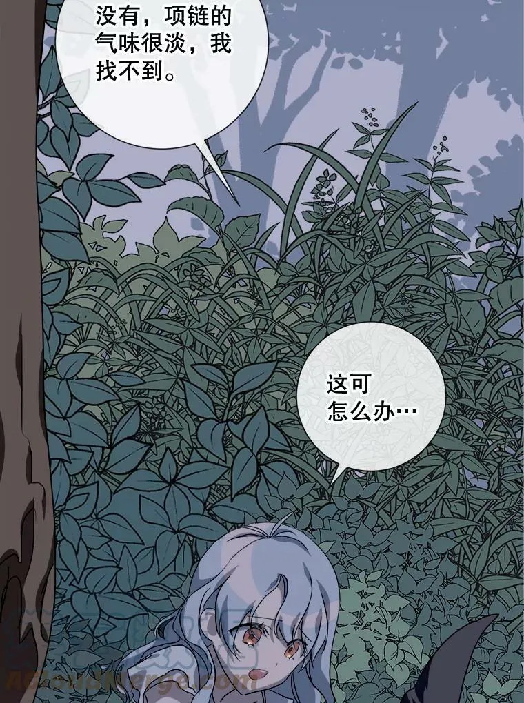 63.丢失的项链 第69页