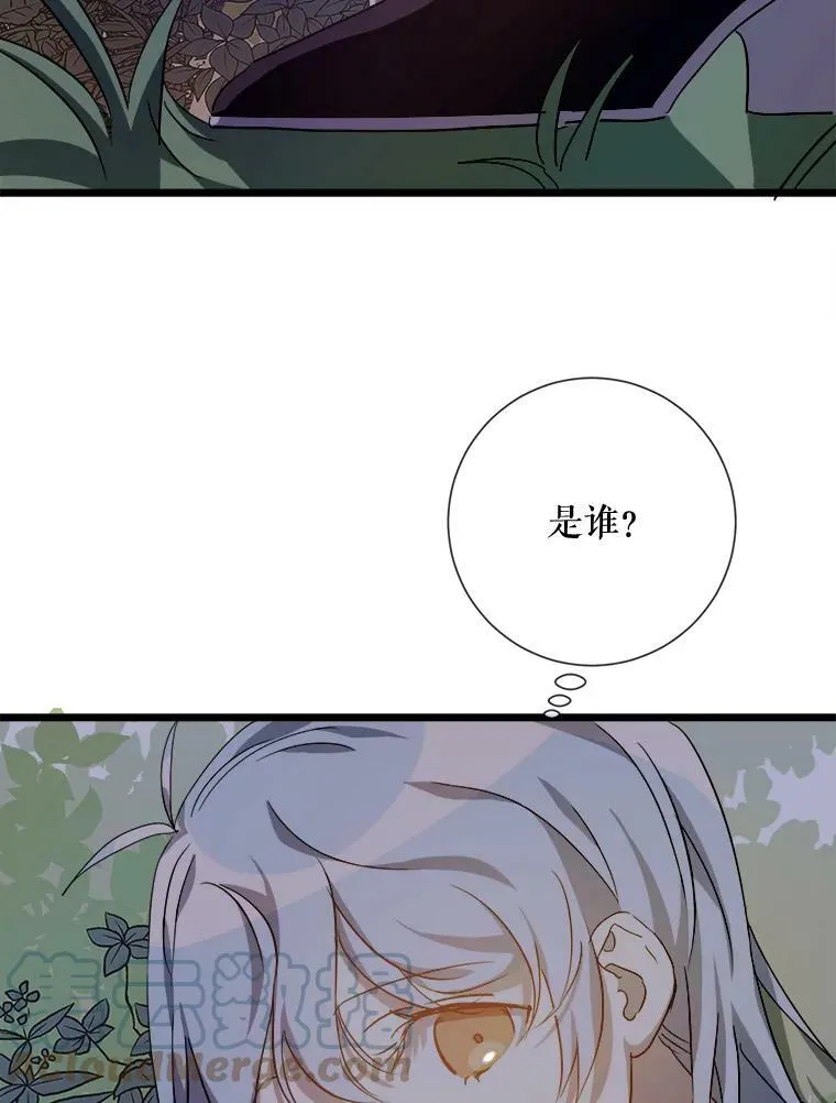 63.丢失的项链 第97页