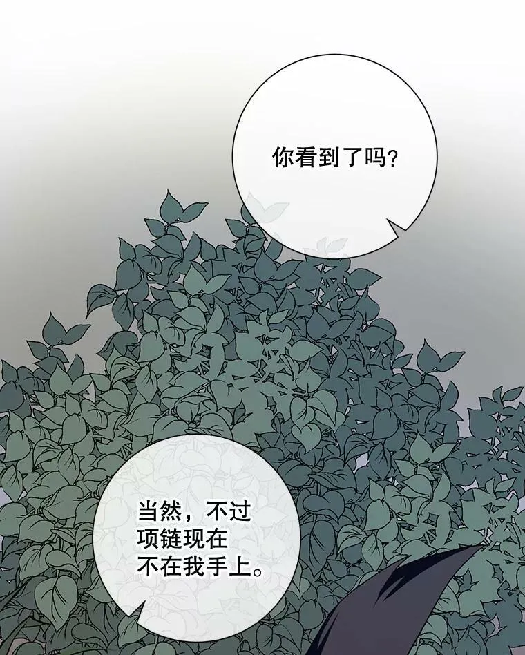 63.丢失的项链 第112页