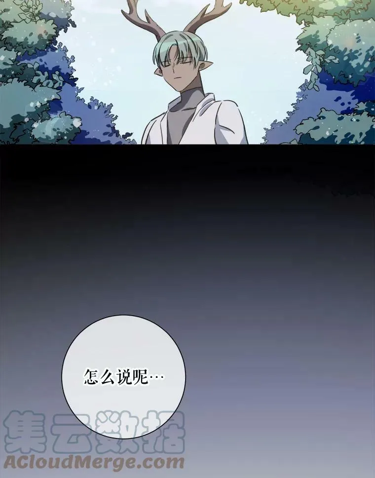 76.飞驰 第13页