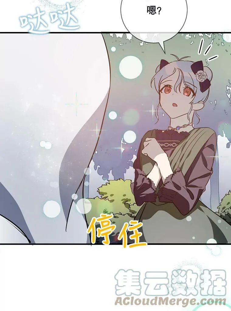 76.飞驰 第37页
