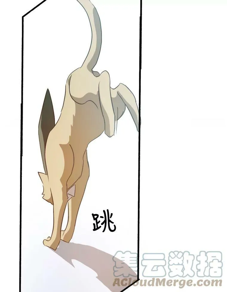 76.飞驰 第77页