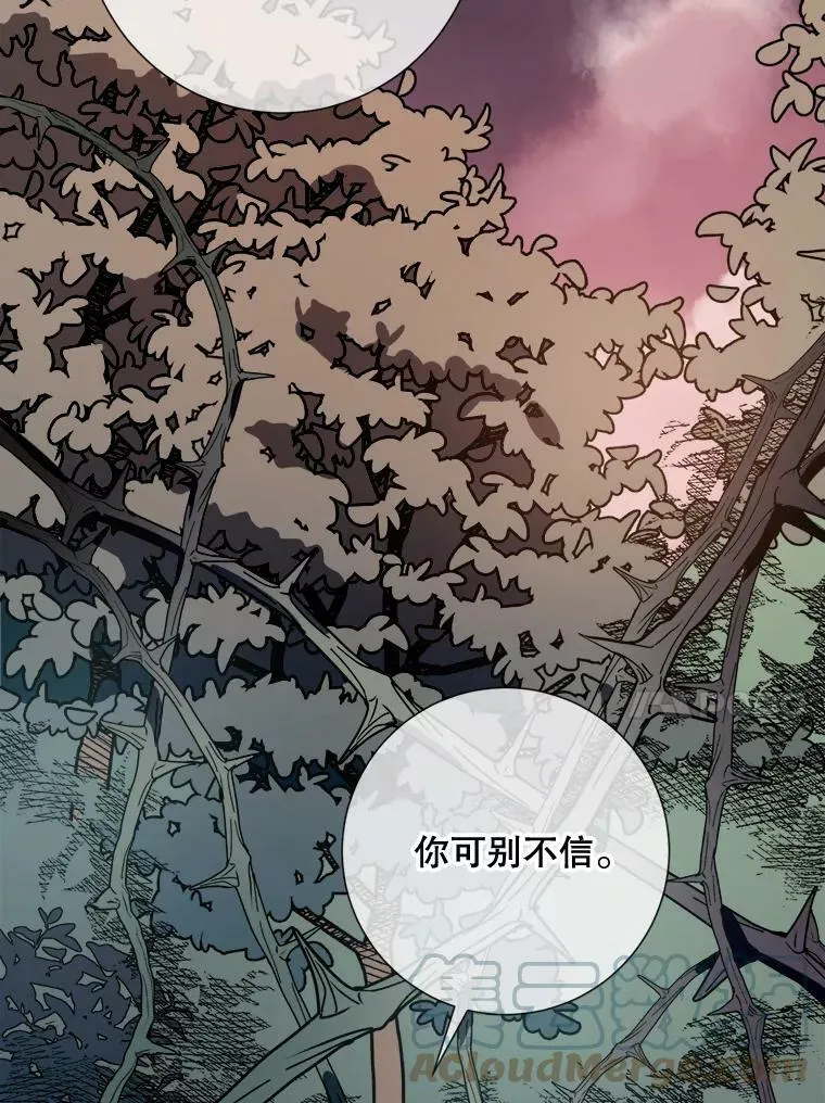 89.奇怪的布谷鸟 第37页