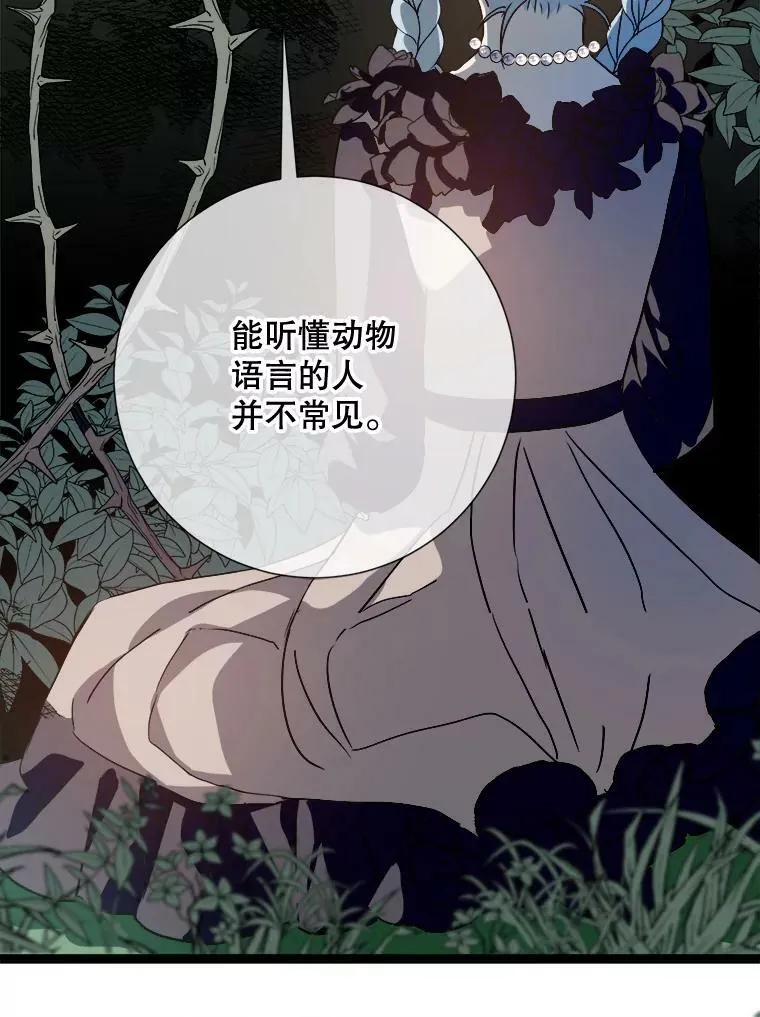 89.奇怪的布谷鸟 第39页