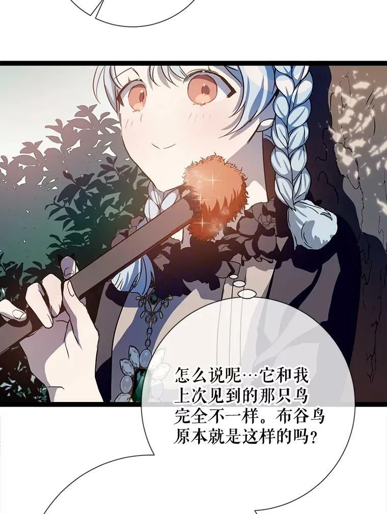 89.奇怪的布谷鸟 第42页