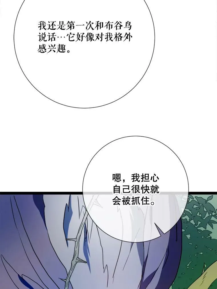89.奇怪的布谷鸟 第43页
