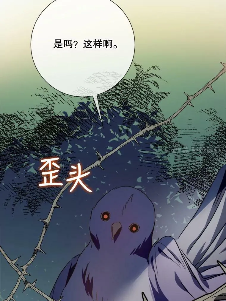 89.奇怪的布谷鸟 第50页