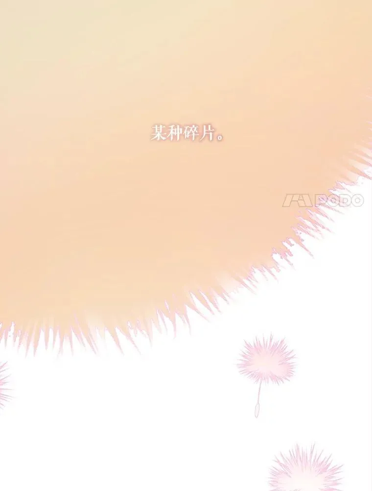 114.碎片 第41页