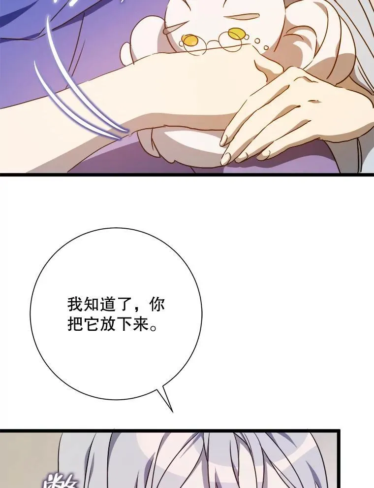 116.智齿（2） 第11页
