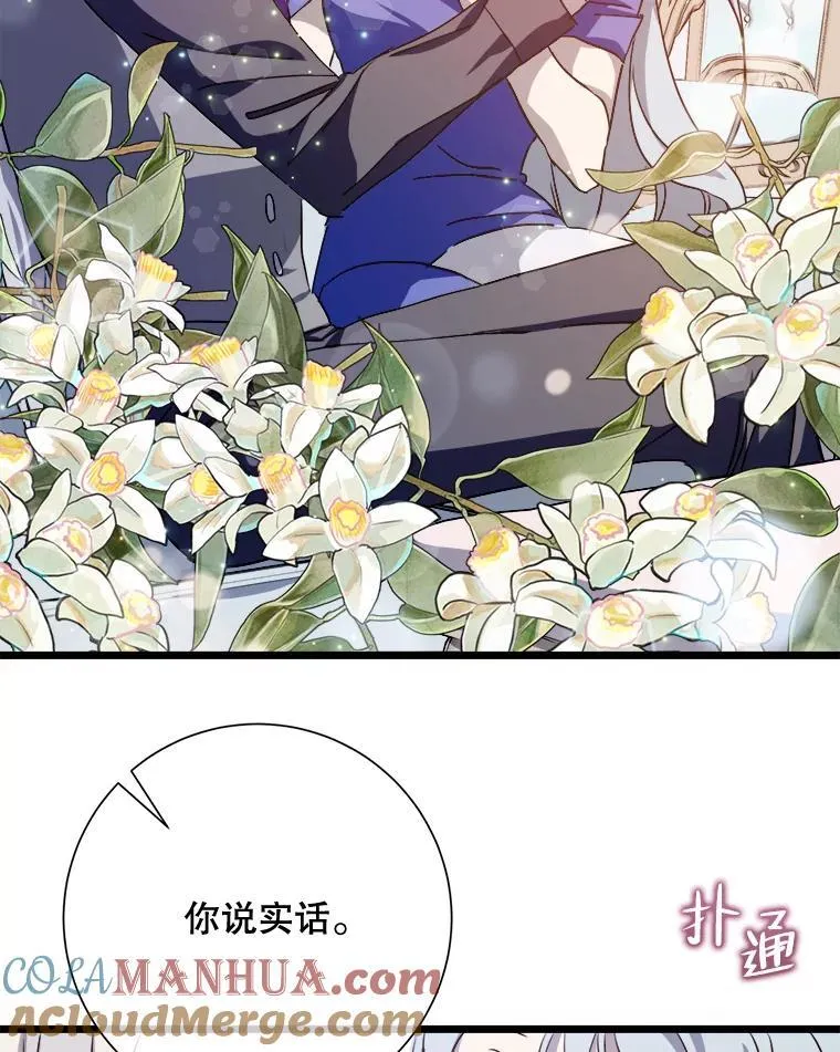 117.表白 第10页