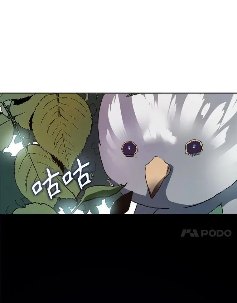 125.不死鸟骑士 第38页