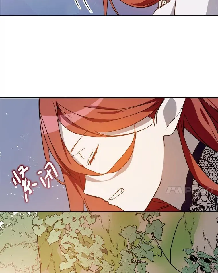 126.容器 第51页