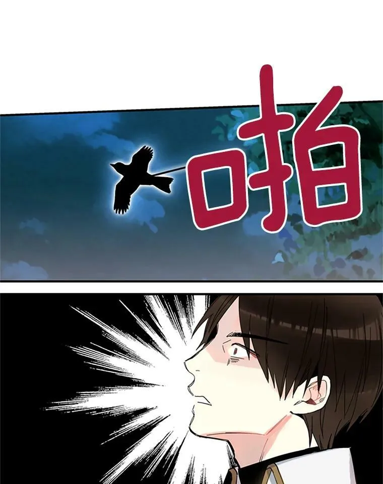 13.间谍 第51页
