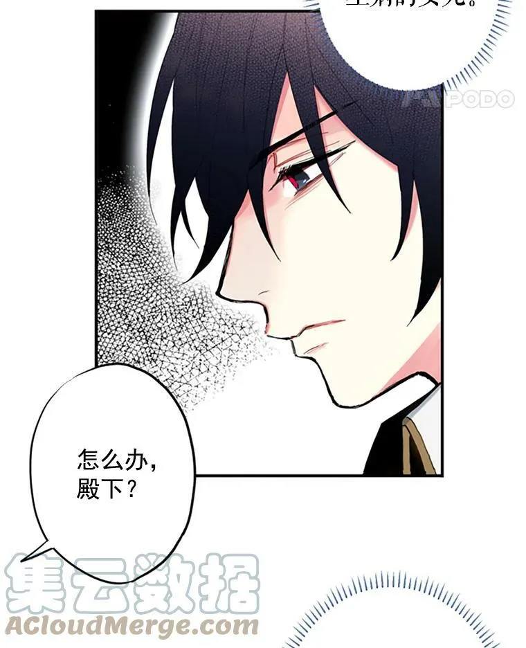 13.间谍 第61页