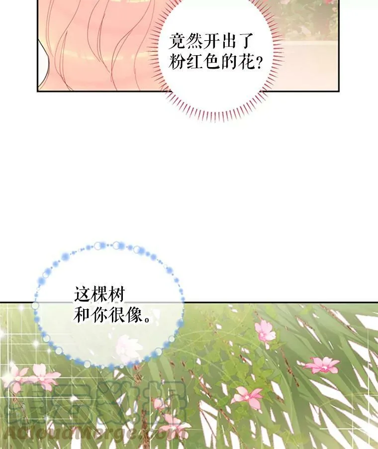 14.狩猎 第19页