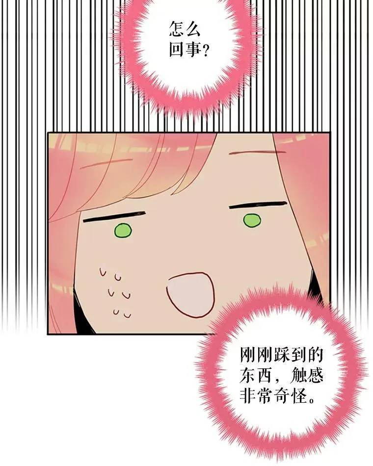 15.格雷西 第27页
