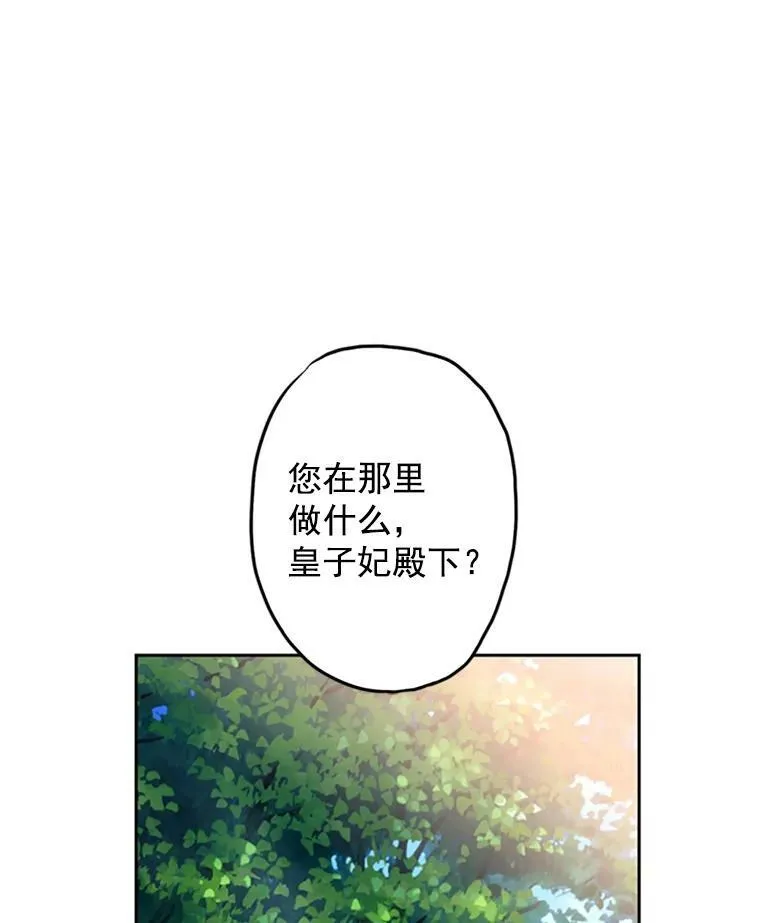 15.格雷西 第41页