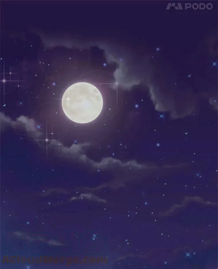 28.和解 第61页