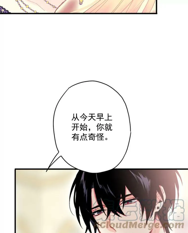 37.信任 第13页