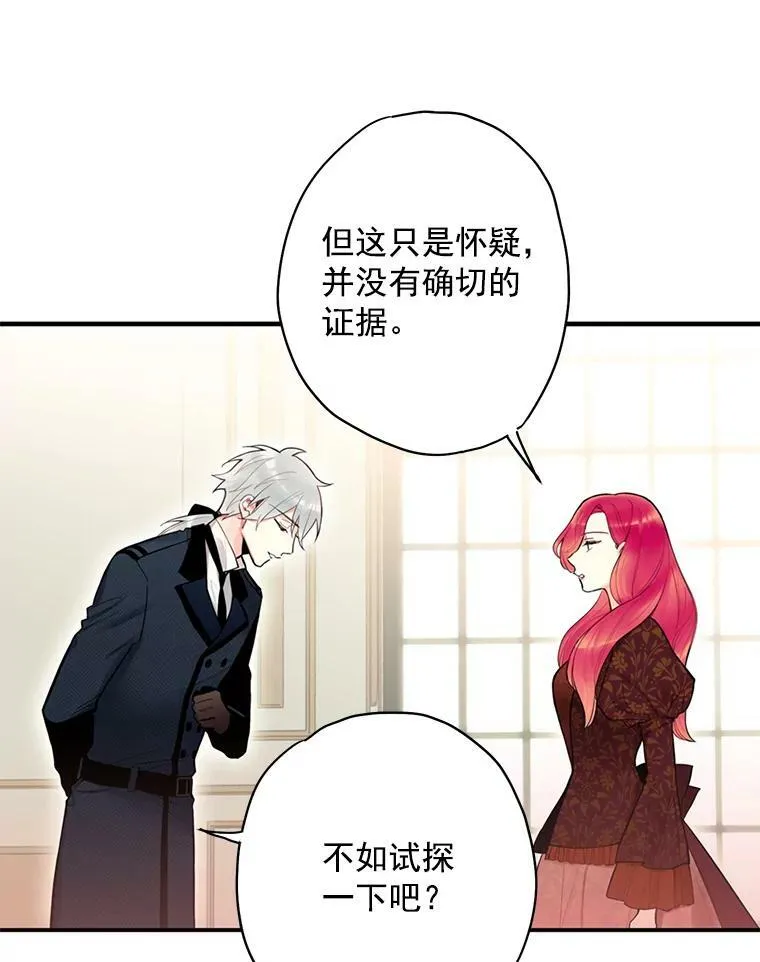 45.试探 第14页