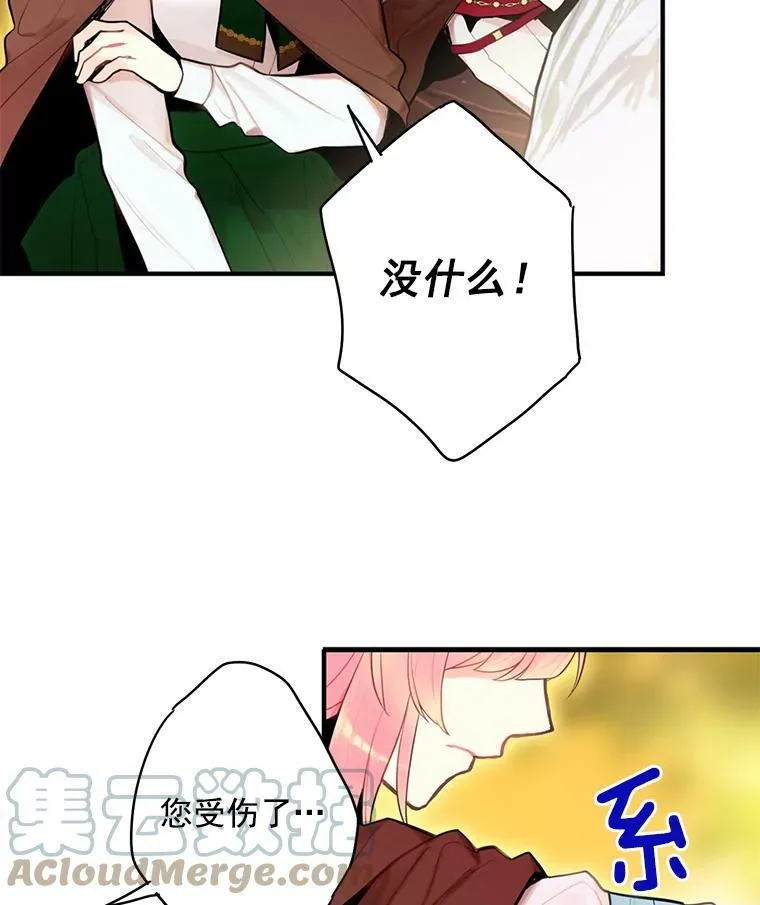 47.寻找解药 第73页