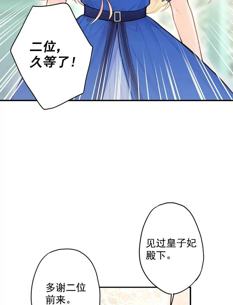 52.修改法案 第50页