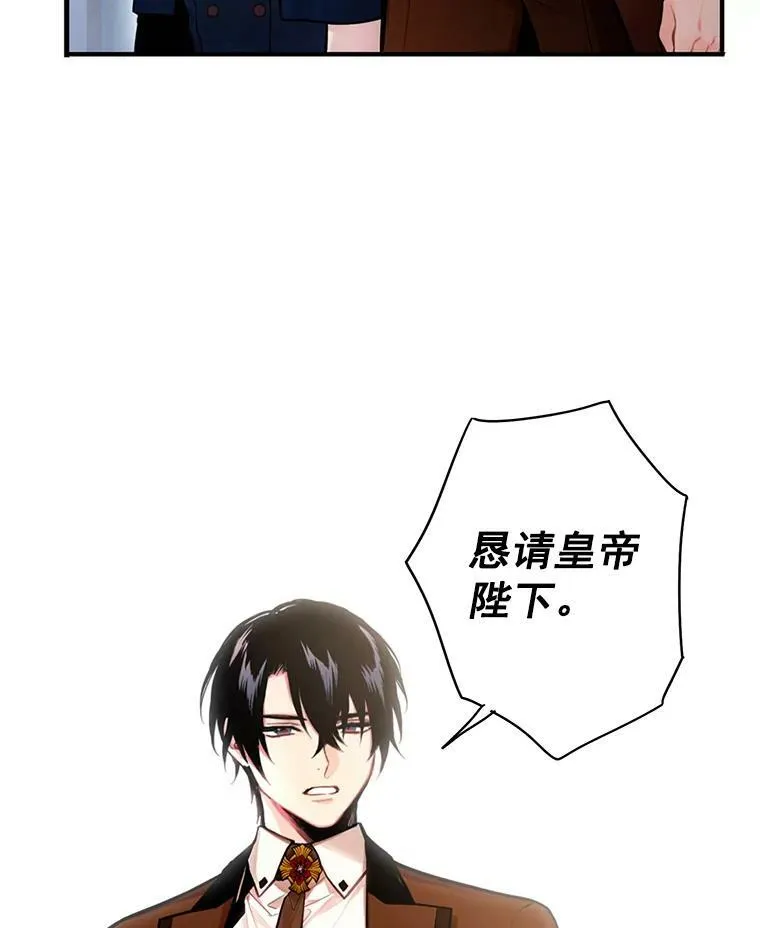 52.修改法案 第66页